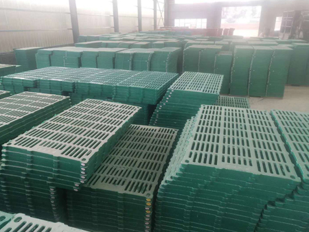 星空体育app：【聚集】黔东南这个大学生不简单养猪养出了“明星范”《人民日报》都报导了！