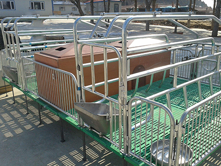 星空体育app:A级午夜免费视频福利区 - A级午夜免费视频福利区下载手机版V